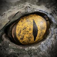 Le Crocodile de Pan
