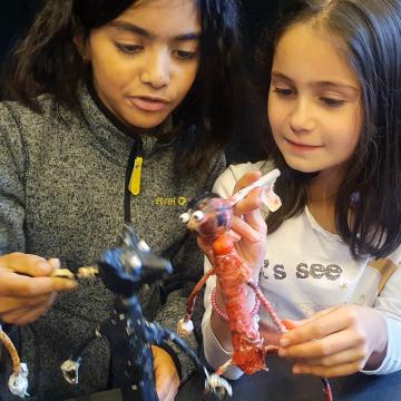 Petit Chantier d'octobre (c) Aline Di Maggio