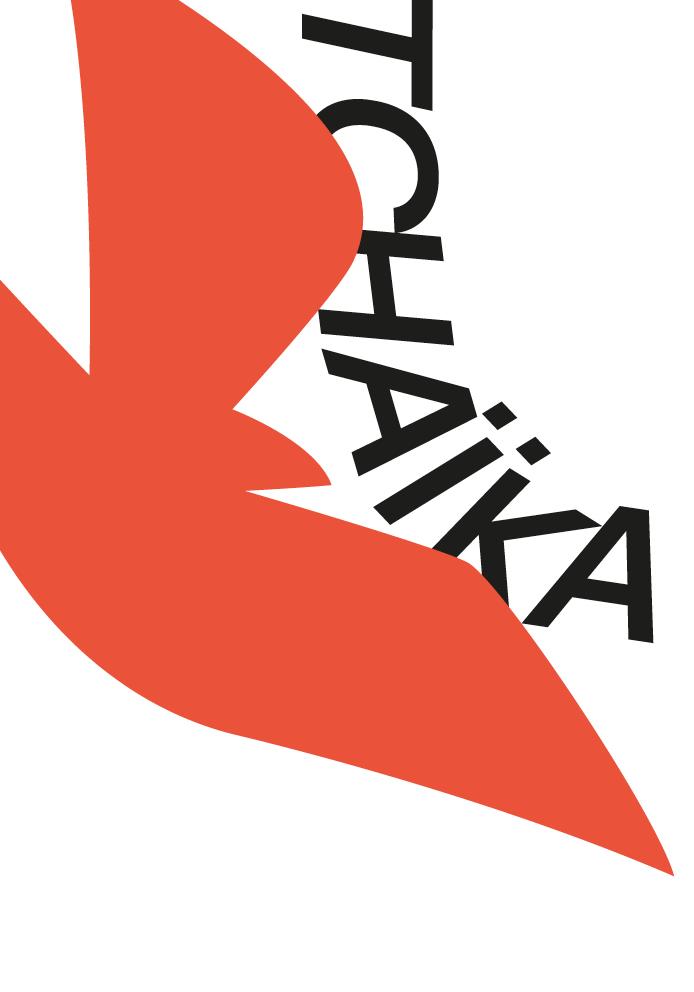 Affiche_Tchaika