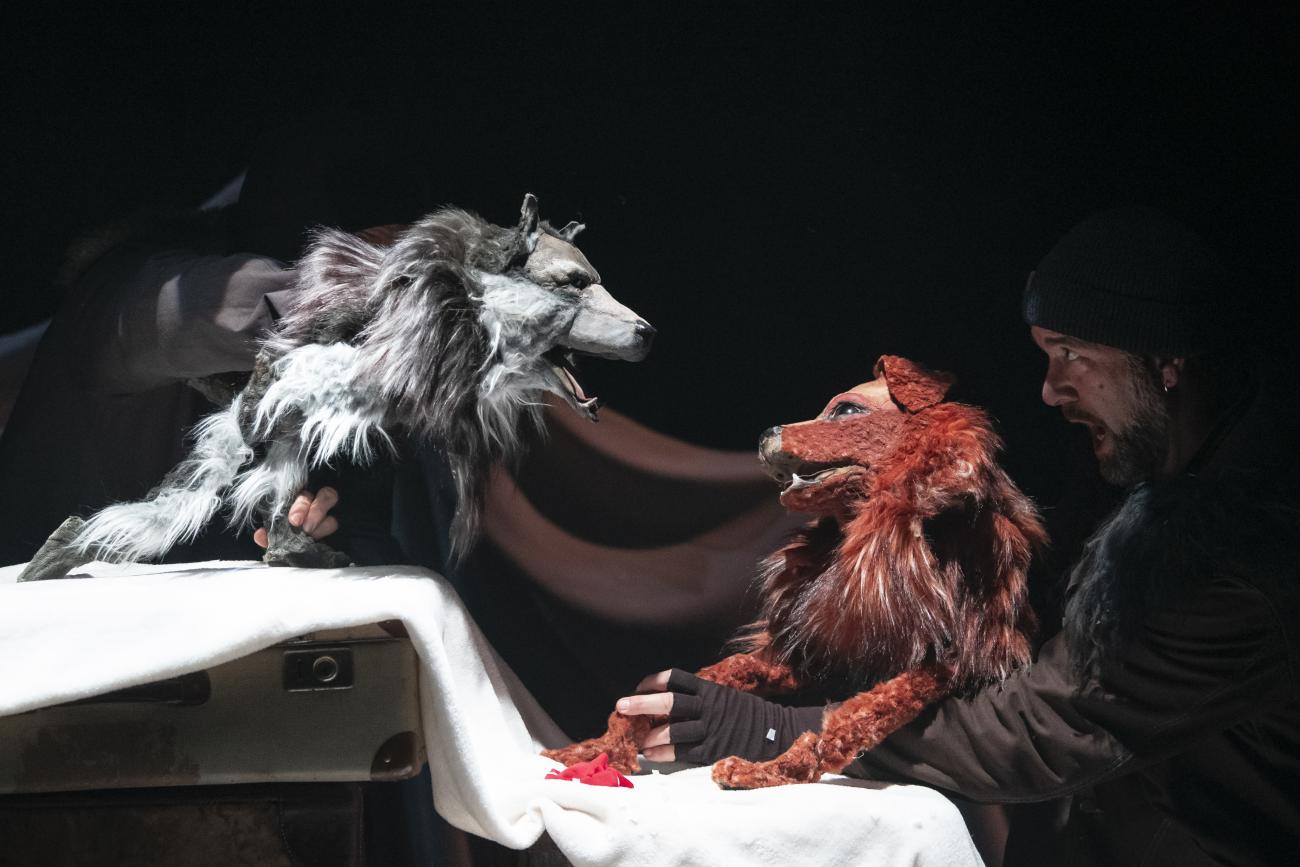 L'appel sauvage | Théâtre des Marionnettes de Genève