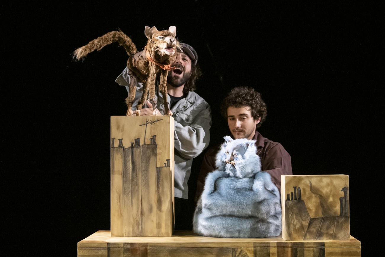 Le paradis des chats Théâtre des de Genève