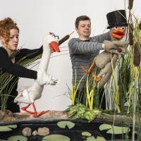 Le vilain petit canard (c) Carole Parodi