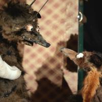 La zone nono par Tête dans le Sac marionnettes (c) Grégoire Czech