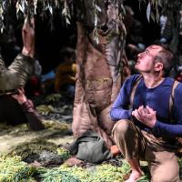 Sous l'arbre (c) Virginie Meigne