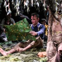 Sous l'arbre (c) Virginie Meigne
