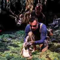 Sous l'arbre (c) Virginie Meigne