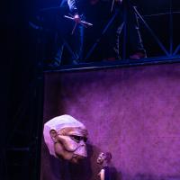 Spécimen (c) Ariane Catton